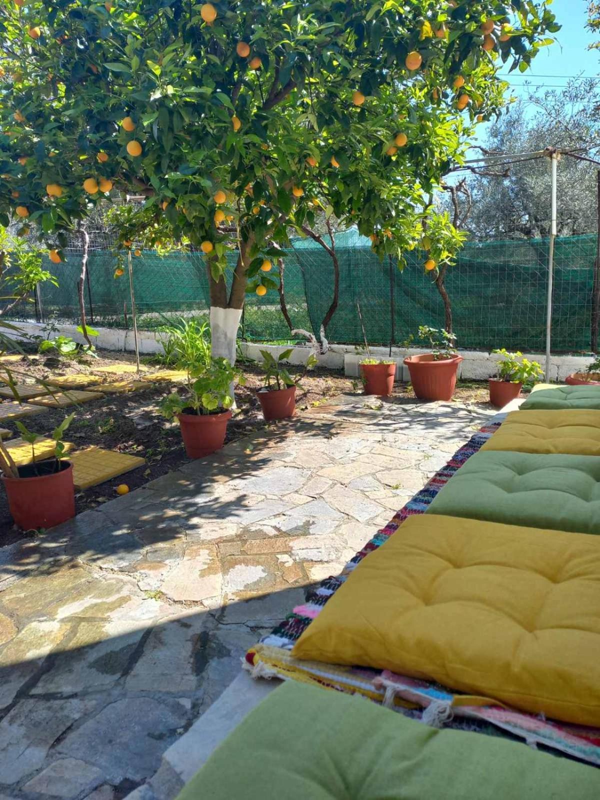 Maria's Garden House *