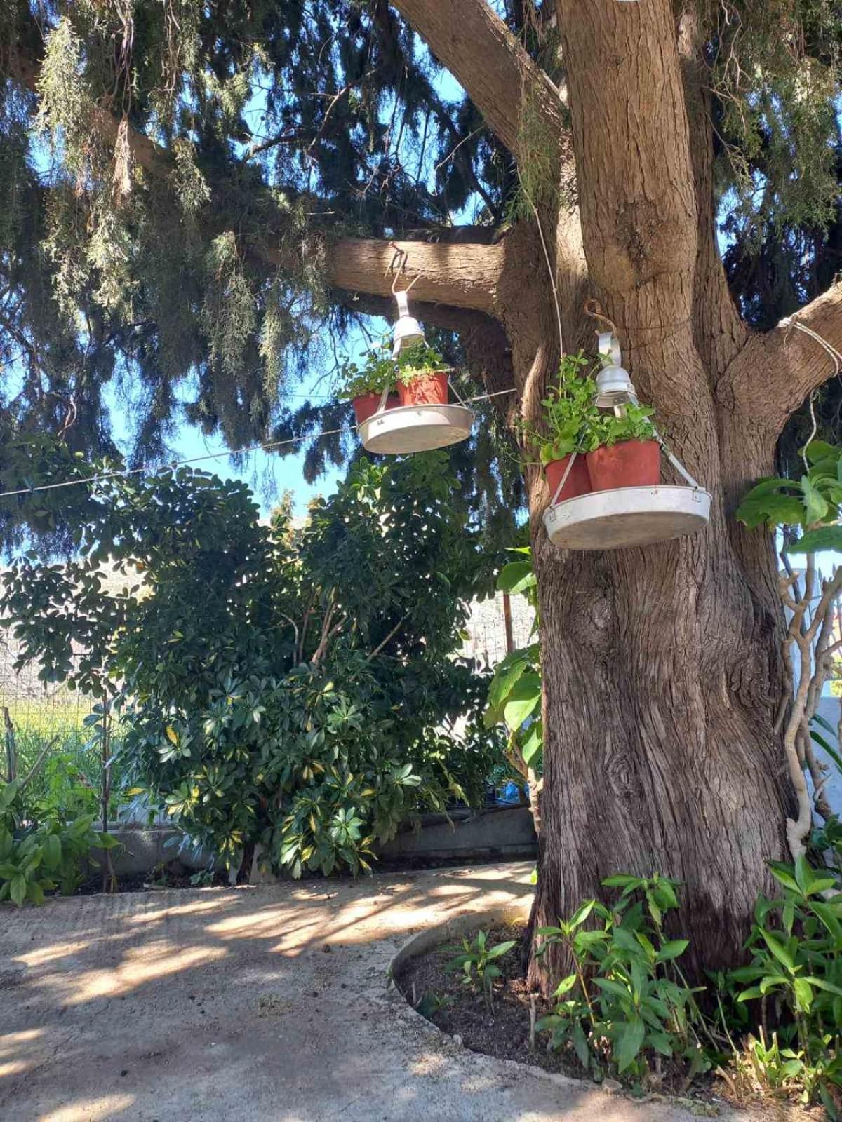Holiday home Maria's Garden House Archangelos (Rhodes)