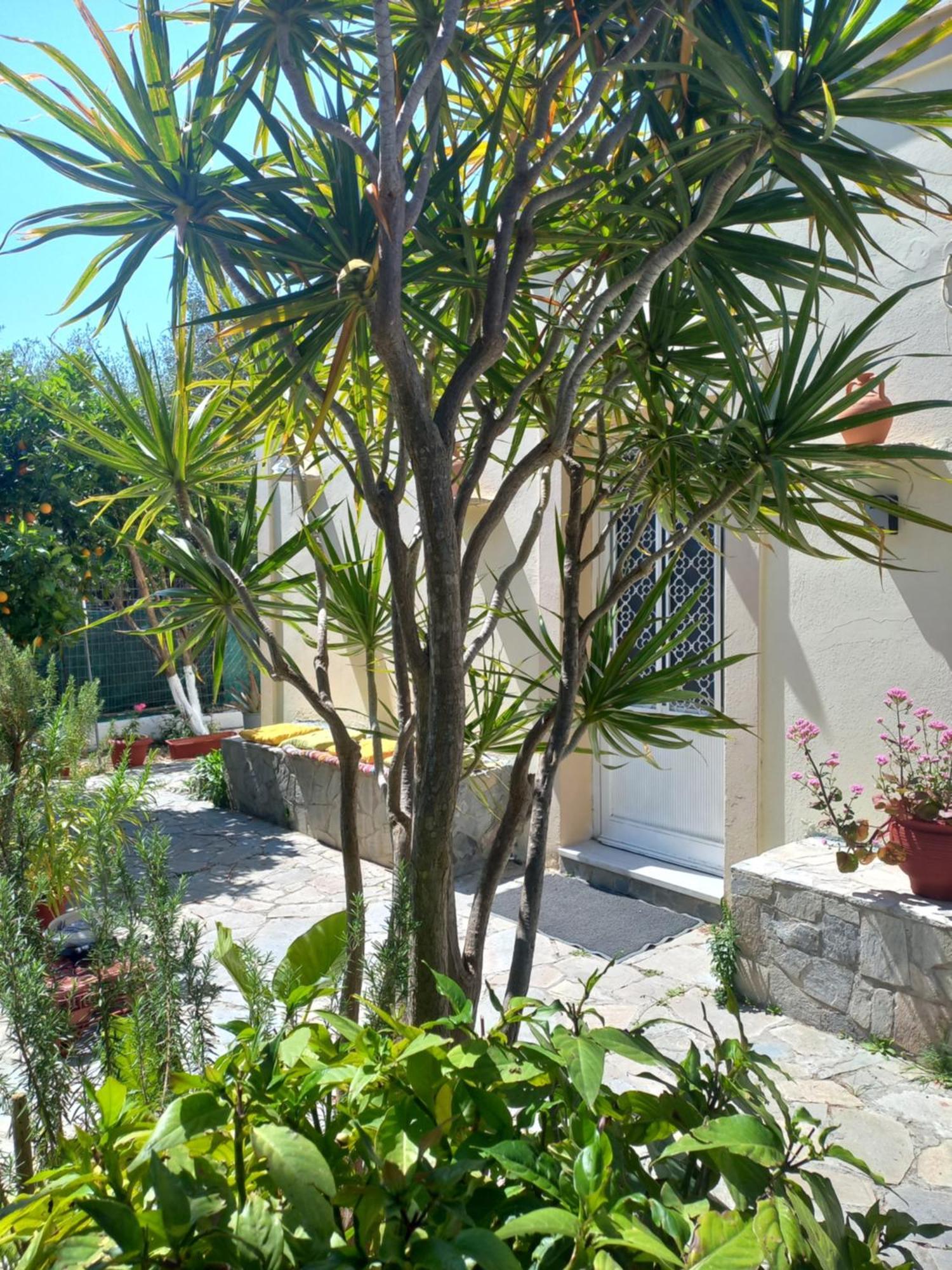 Maria's Garden House * Archangelos (Rhodes)