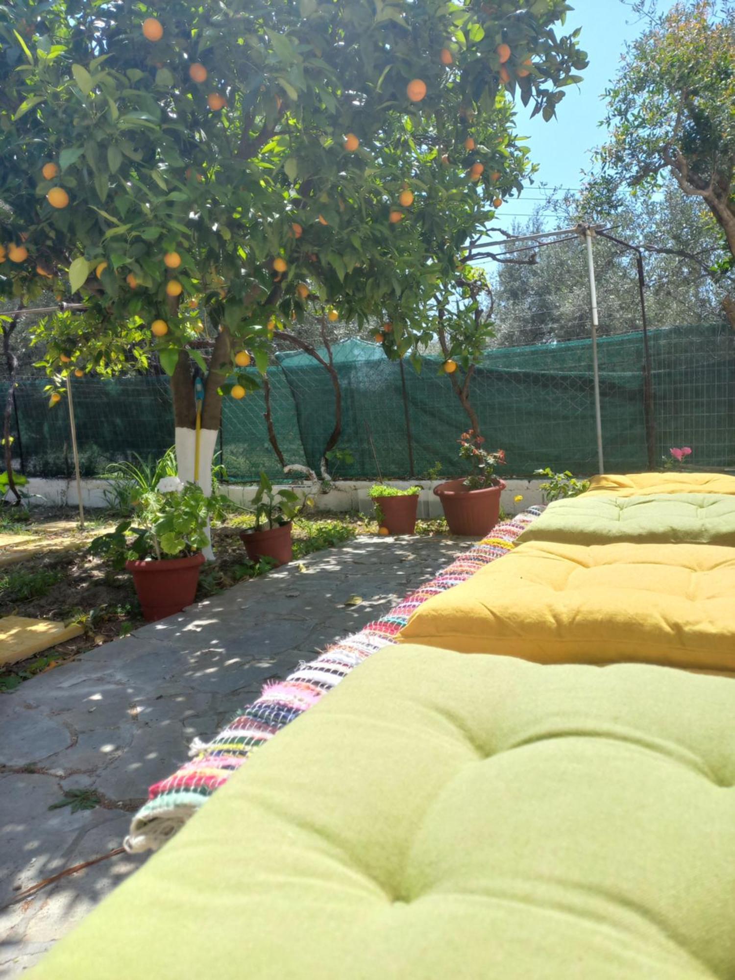 Maria's Garden House Holiday home Archangelos (Rhodes)