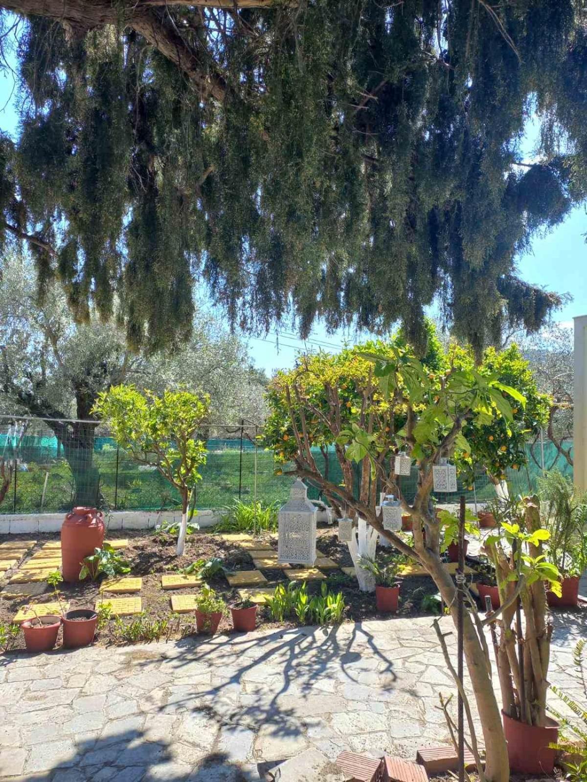 Maria's Garden House Archangelos (Rhodes)