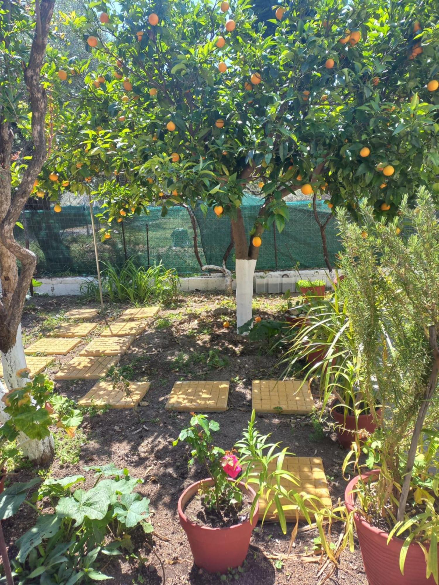 Maria's Garden House