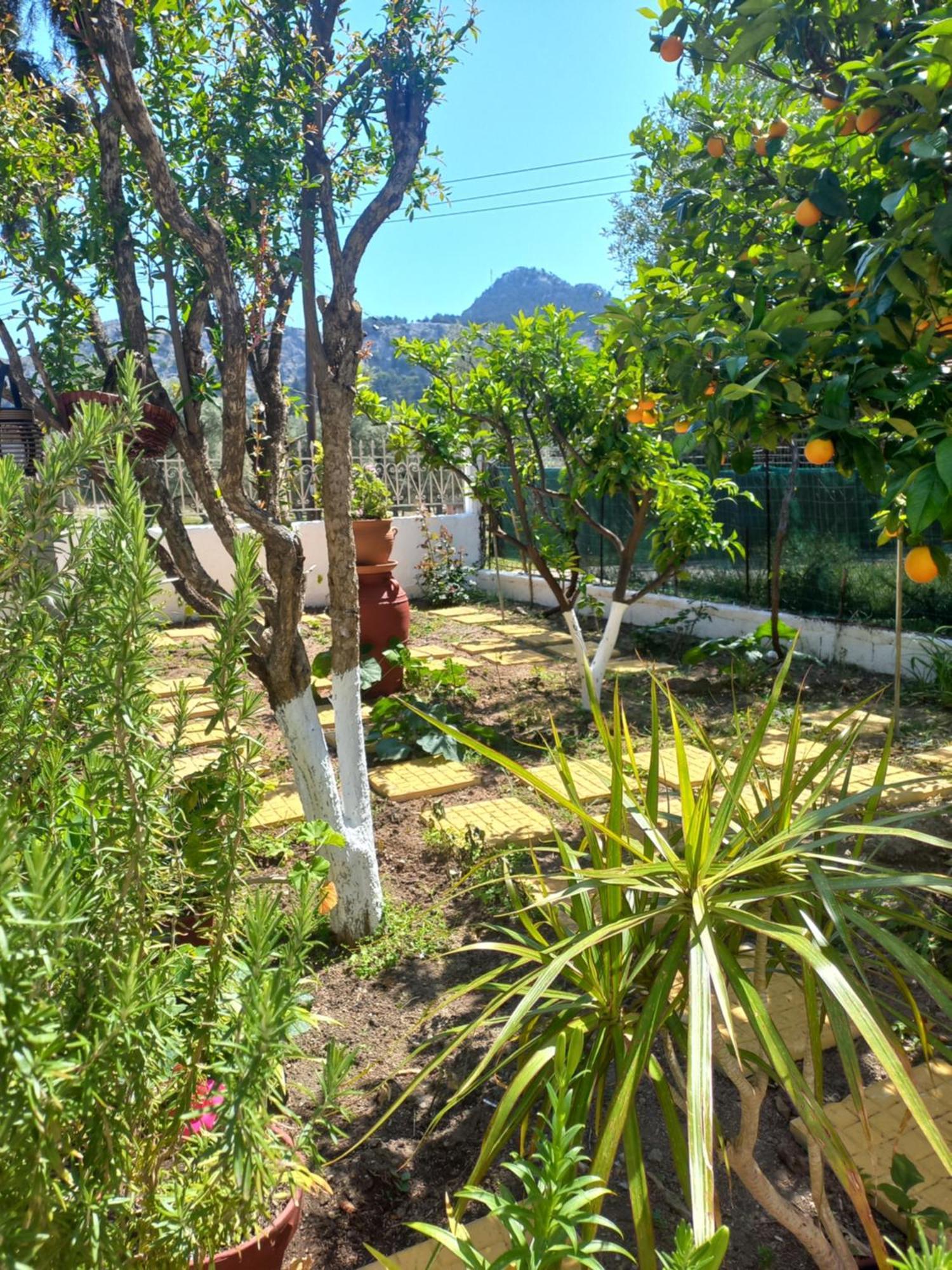 Holiday home Maria's Garden House